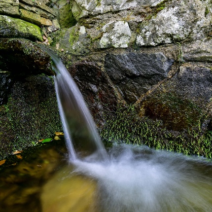 Fonte Cantaru 'e Prammuttu. La sorgente si trova nella forestale demaniale ad un'altezza di 1064 mt (foto Ivo Piras)