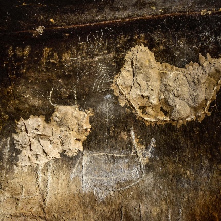 Tomba IX, parete Sud con motivi animali (foto Ivo Piras)