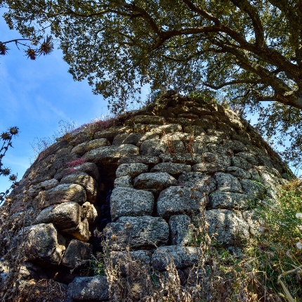 Nuraghe Riu Runaghe. Veduta della torre dal basso (foto Ivo Piras)