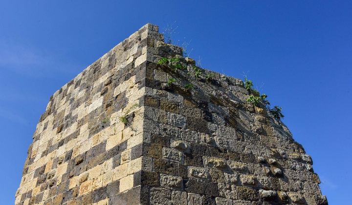 Ruderi del Palazzo giudicale