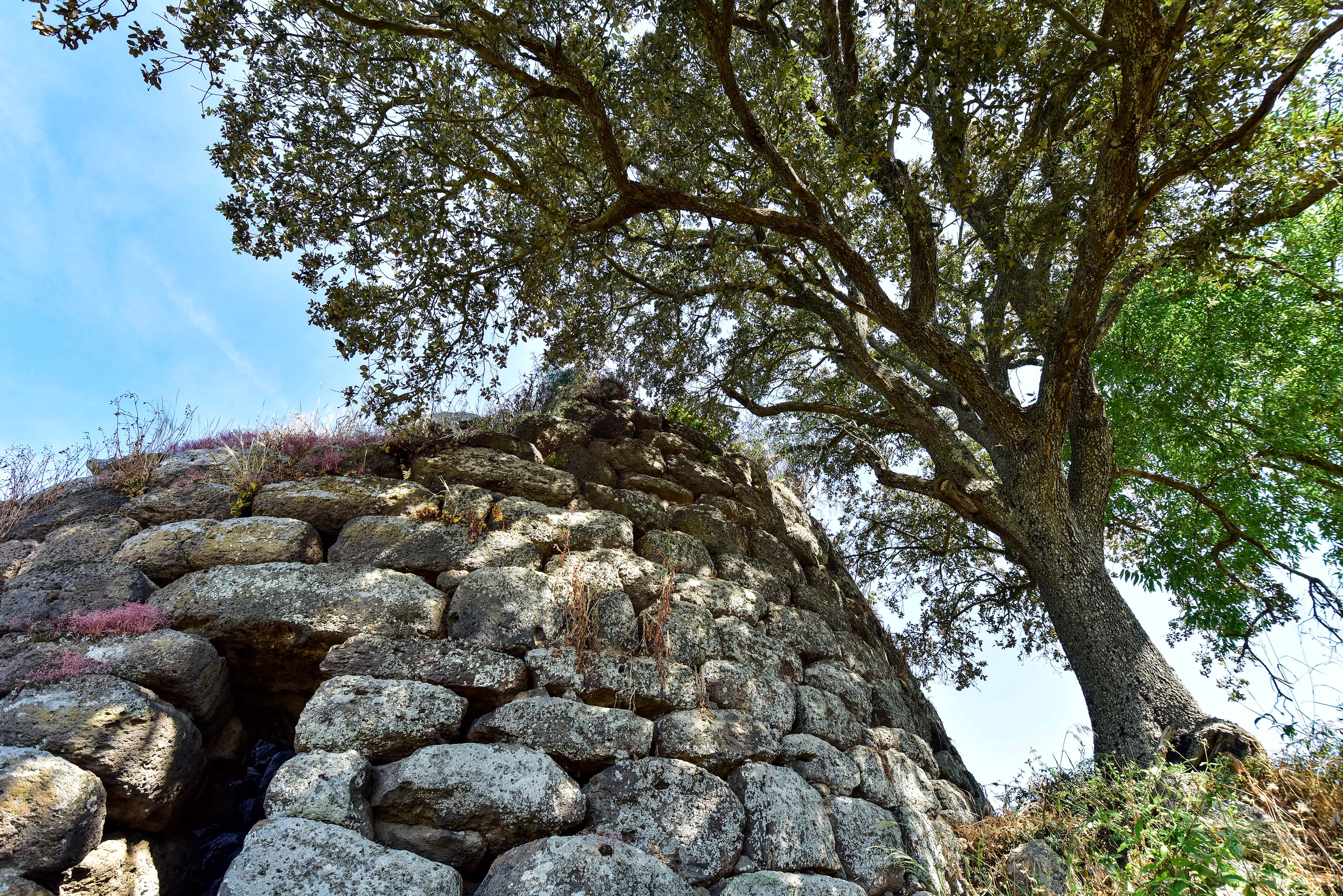 Veduta esterna delle mura della torre centrale