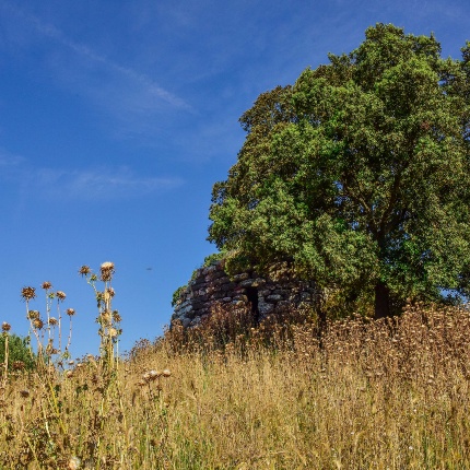 Veduta panoramica del nuraghe (foto Ivo Piras)