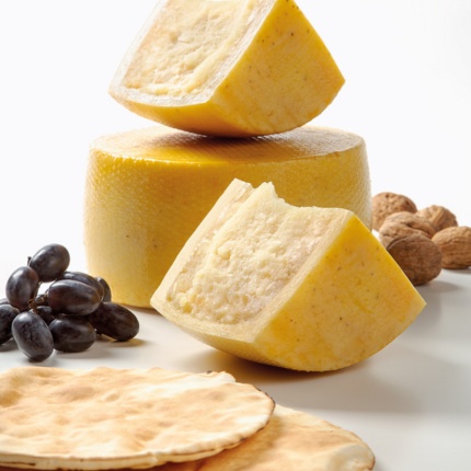 Allevatori di Mores Società Cooperativa Agricola (foto Allevatori di Mores Società Cooperativa Agricola)