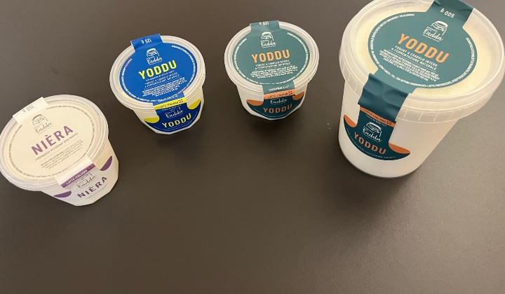 Yogurt