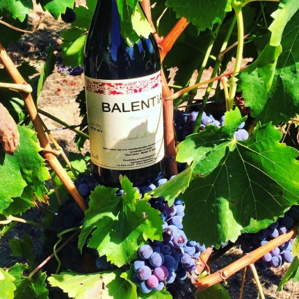 Prodotti Cantina Dessena (foto Facebook, profilo del locale)