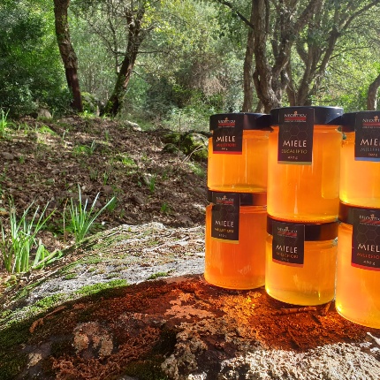 Mieli Monte Minerva - Leonardo Carta