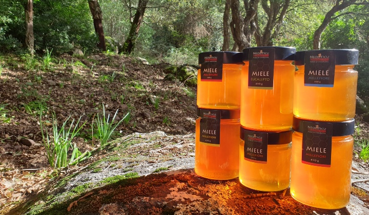 Mieli Monte Minerva Leonardo Carta