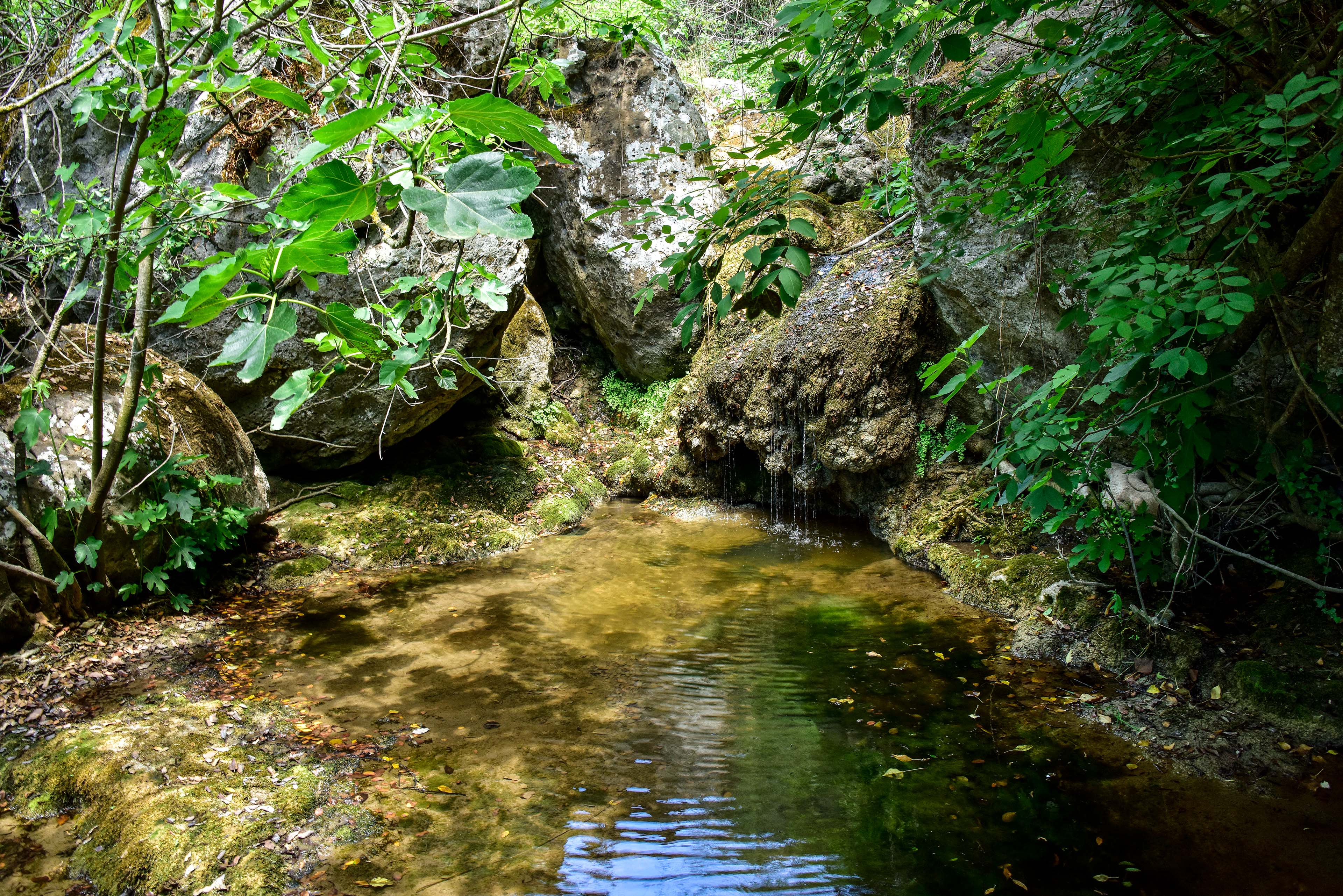 Rio Mannu (foto Ivo Piras)