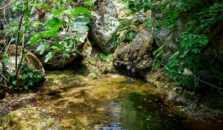 Rio Mannu