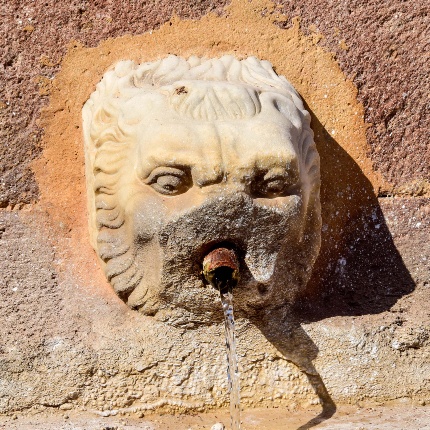 Particolare di un leone versatore mutile (foto Ivo Piras)
