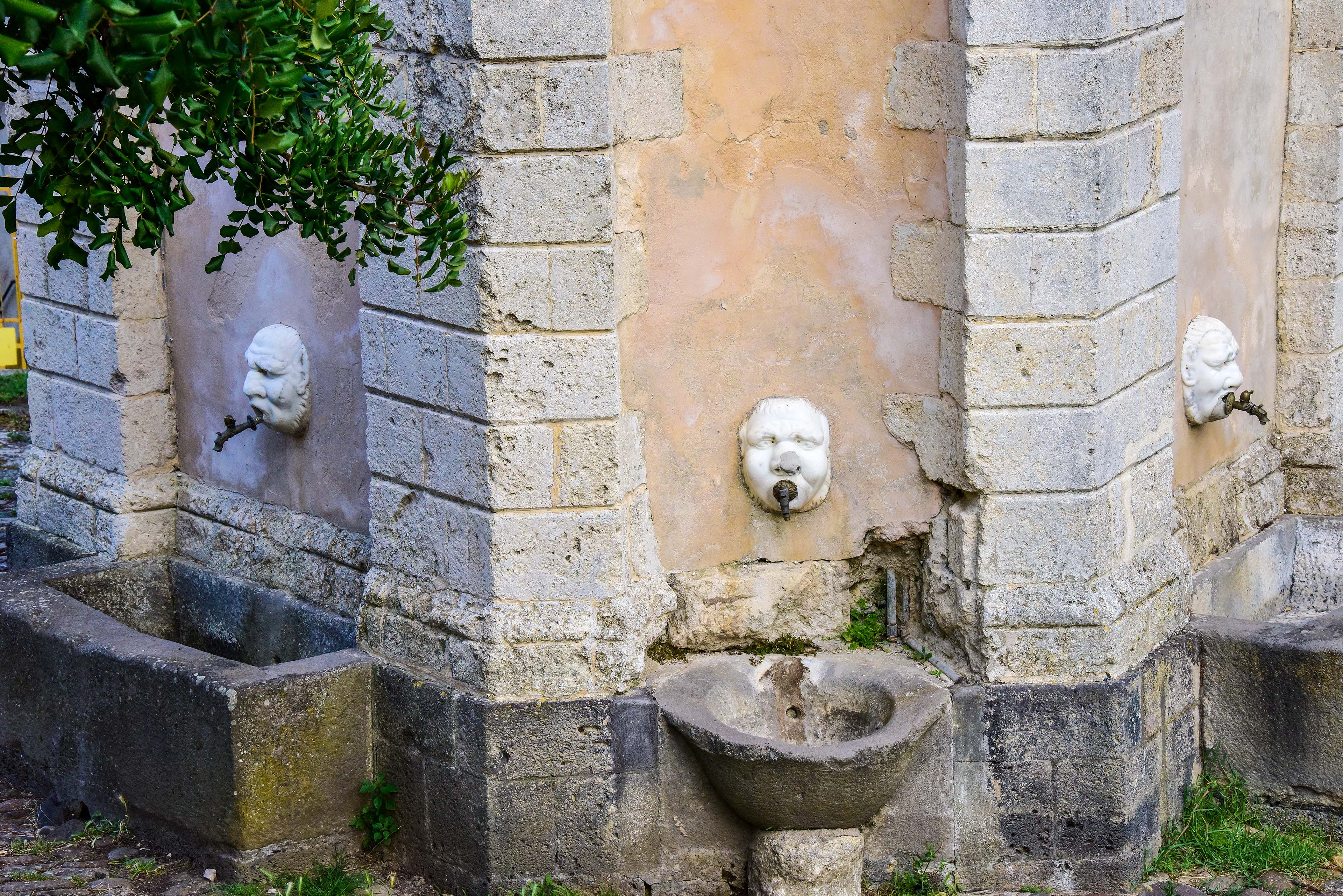 Visi silvani di foggia manierista (foto Ivo Piras)