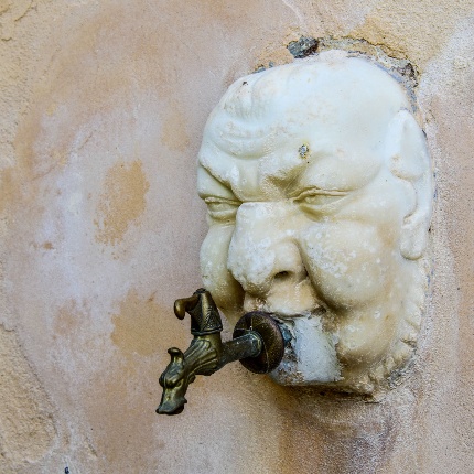 Dettaglio di un viso versatore (foto Ivo Piras)