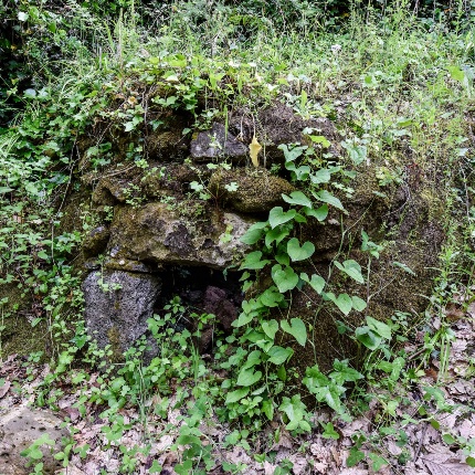 Strutture murarie appartenenti al complesso sacro, oggi ricoperte da vegetazione (foto Ivo Piras)