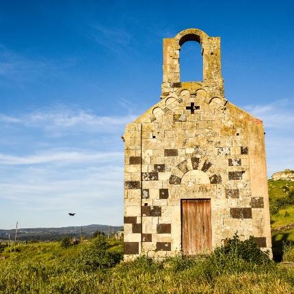 Vista frontale con la caratteristica bicromia (foto Ivo Piras)