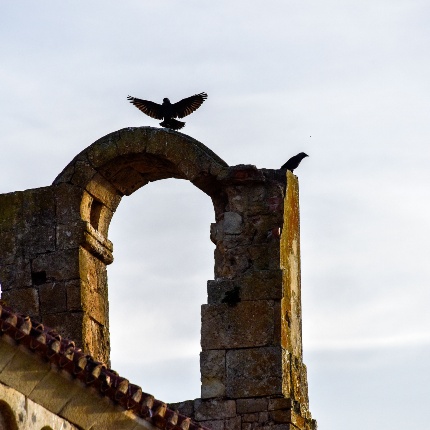 Campanile a vela (foto Ivo Piras)
