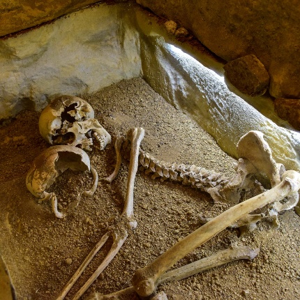 Scheletro (foto Ivo Piras)