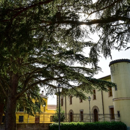 Caserma forestale (foto Ivo Piras)