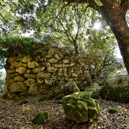 Cortina ad andamento concavo-convesso (foto Ivo Piras)