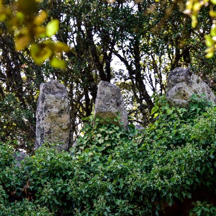 Otto mensoloni inseriti sulla sommità del paramento facenti parte di un ballatoio (foto Ivo Piras)