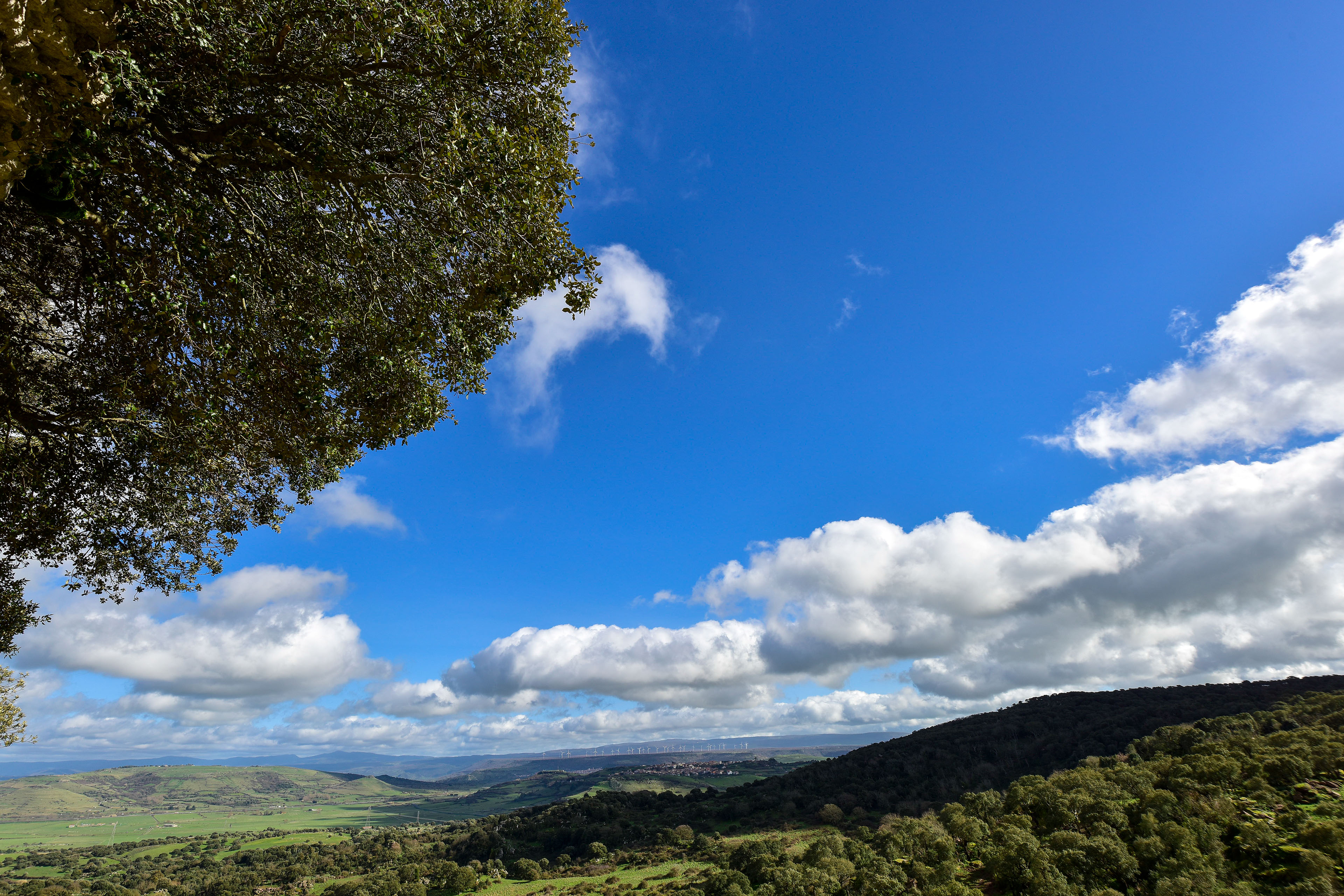 Veduta panoramica del territorio (foto Ivo Piras)