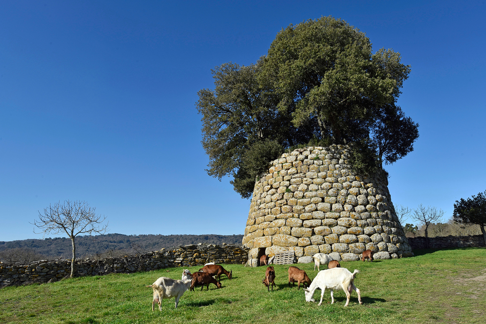 Esporlatu, Nuraghe Erismanzanu