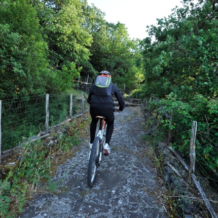 In mountain-bike nel Villanova (foto Ivo Piras)