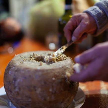 Il famoso Casu Marzu, formaggio pecorino con i vermi (foto Robert Pavsic - stock.adobe.com)