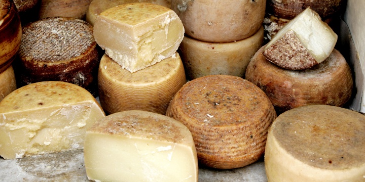 Pecorino sardo di differenti tipologie