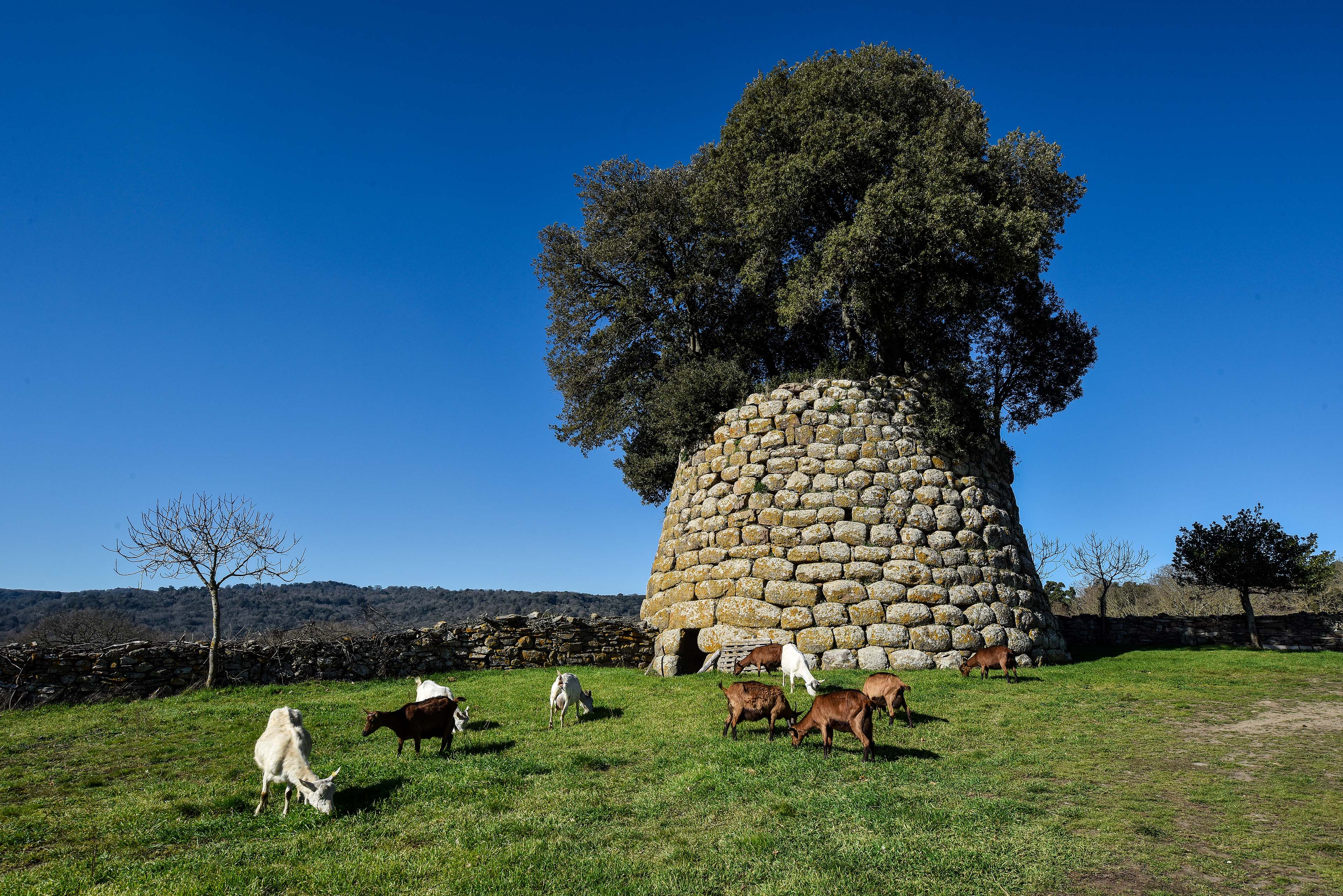 L'edificio in trachite è del tipo monotorre a tholos