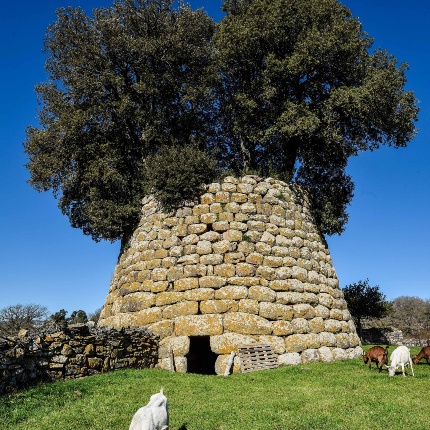 Veduta della torre con l'ingresso rivolto a Est (foto Ivo Piras)