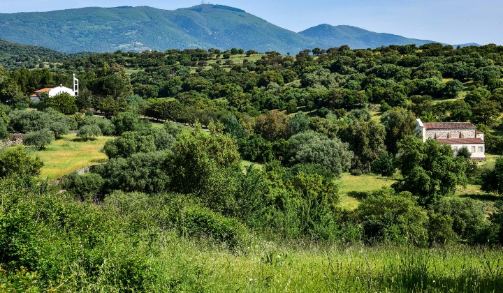 Panoramica del santuario con le tre chiese immerse nel verde