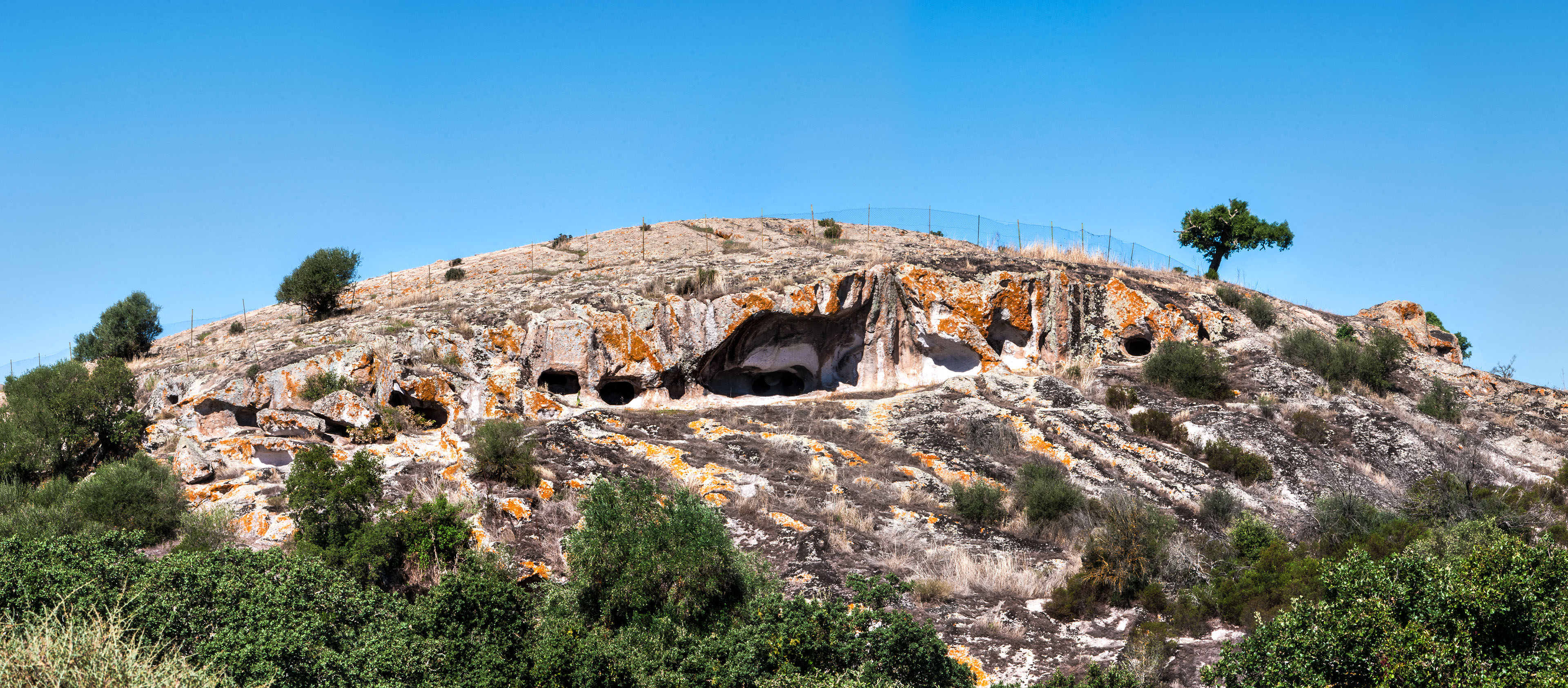 Veduta panoramica dell'area