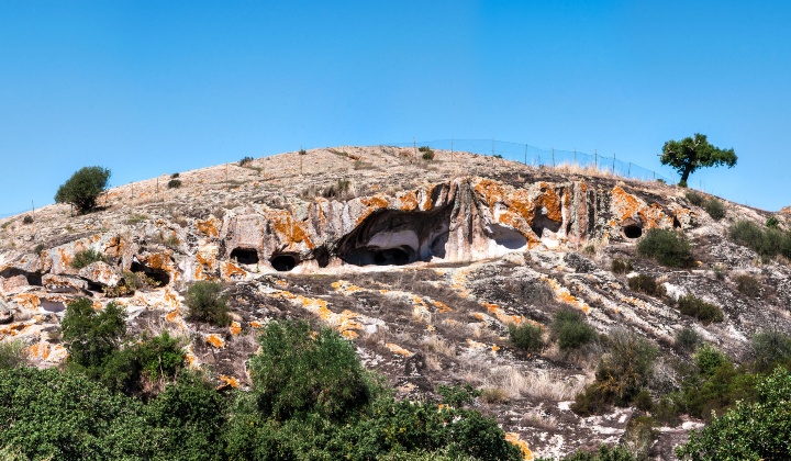 Veduta panoramica dell'area