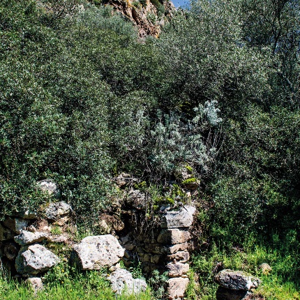 Strutture abitative (foto Giuseppe Lonis)