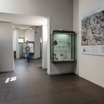 Sala 2: l’età prenuragica (foto Giuseppe Lonis)