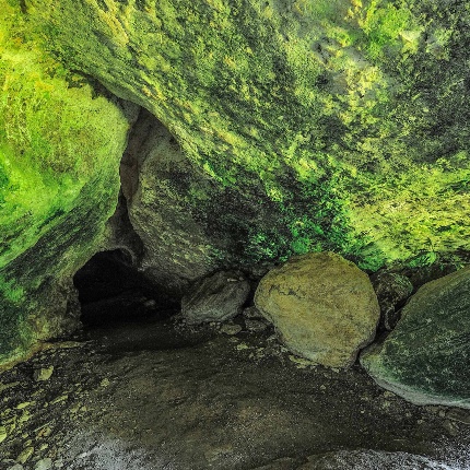 Interno della cavità (foto Ivo Piras)
