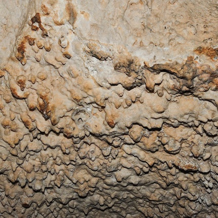 Concrezioni minerali all'interno della cavità