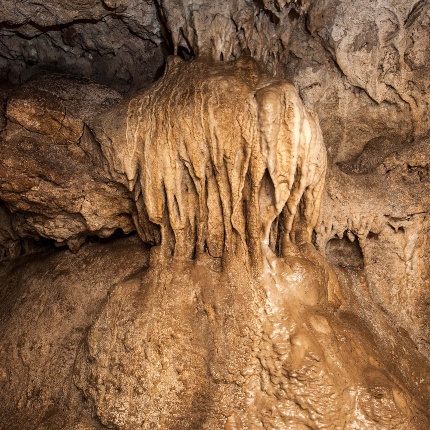 Grotta di Filiestru. Concrezioni minerali all'interno della cavità (foto Ivo Piras)