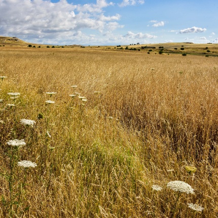 L'area in uno scatto estivo (foto Ivo Piras)
