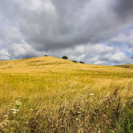 Il caratteristico profilo collinare dell'area (foto Ivo Piras)