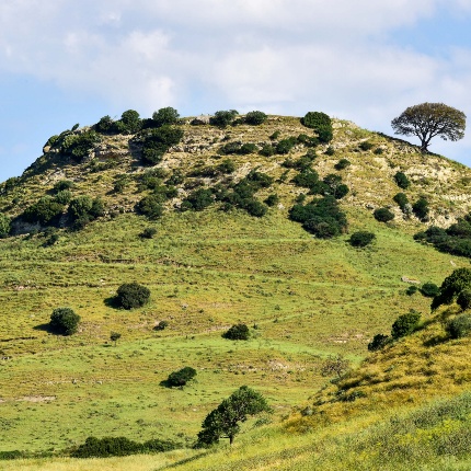 Paesaggio collinare tipico della zona (foto Ivo Piras)