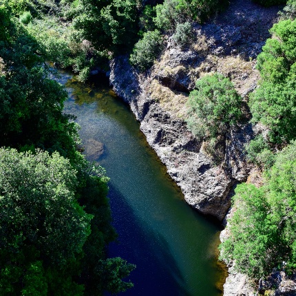 Riu Abba Niedda. Veduta dall'alto del fiume (foto Ivo Piras)