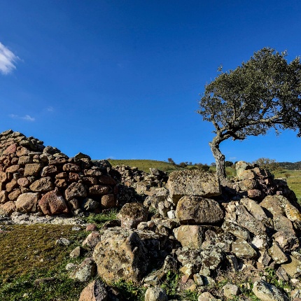 Strutture circolari presenti nel sito (foto Ivo Piras)