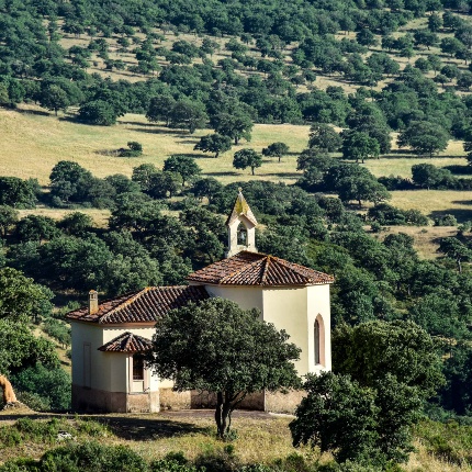 Veduta della chiesa immersa nel verde dell'ambiente circostante (foto Ivo Piras)