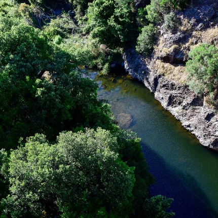 Veduta dall'alto del fiume Riu Abba Niedda che scorre sotto il dirupo (foto Ivo Piras)