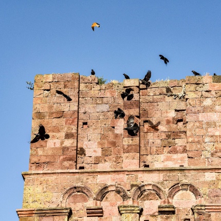 Particolare del campanile mozzo dall’irregolare cromia (foto Ivo Piras)