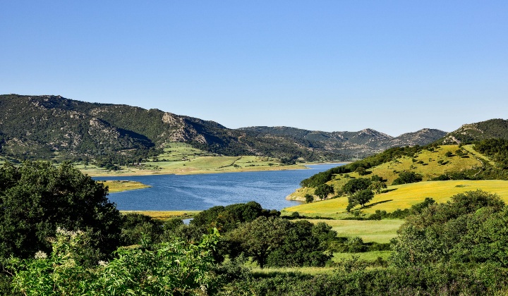 Veduta dell'invaso artificiale immerso nel verde