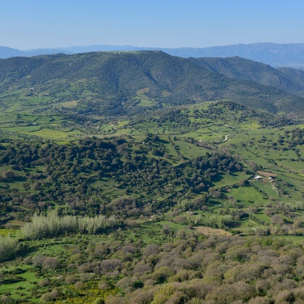 Dalla chiesa lo sguardo spazia su tutto il territorio circostante (foto Ivo Piras)