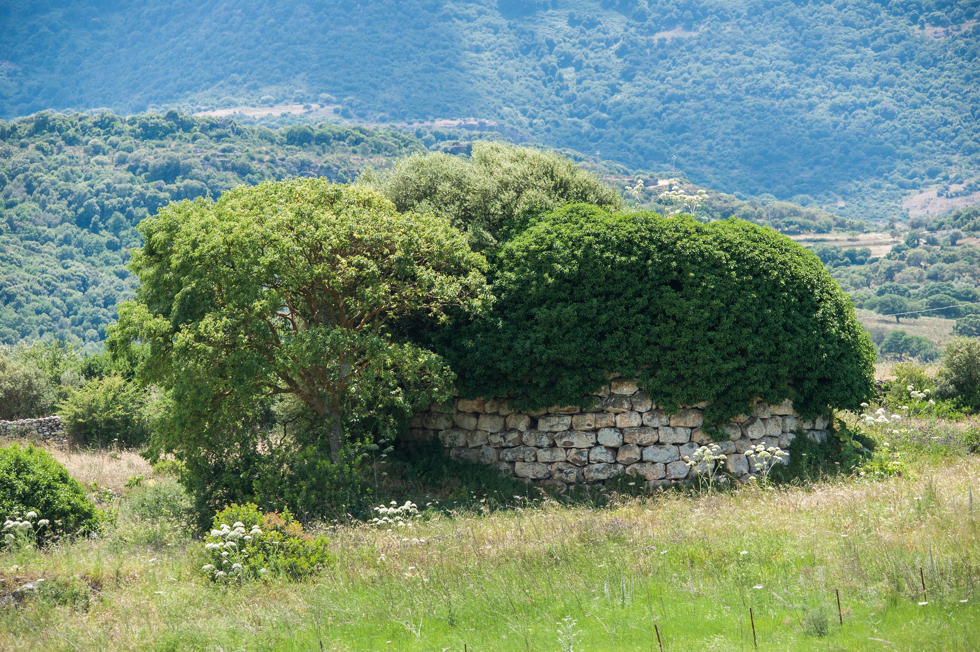 Il monumento è ubicato in un’altura a controllo della valle del Temo (foto Ivo Piras)