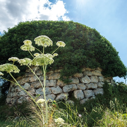 Il corpo principale in pietra calcarea è costituito da una torre centrale, e da almeno altre due torri aggiuntive (foto Ivo Piras)